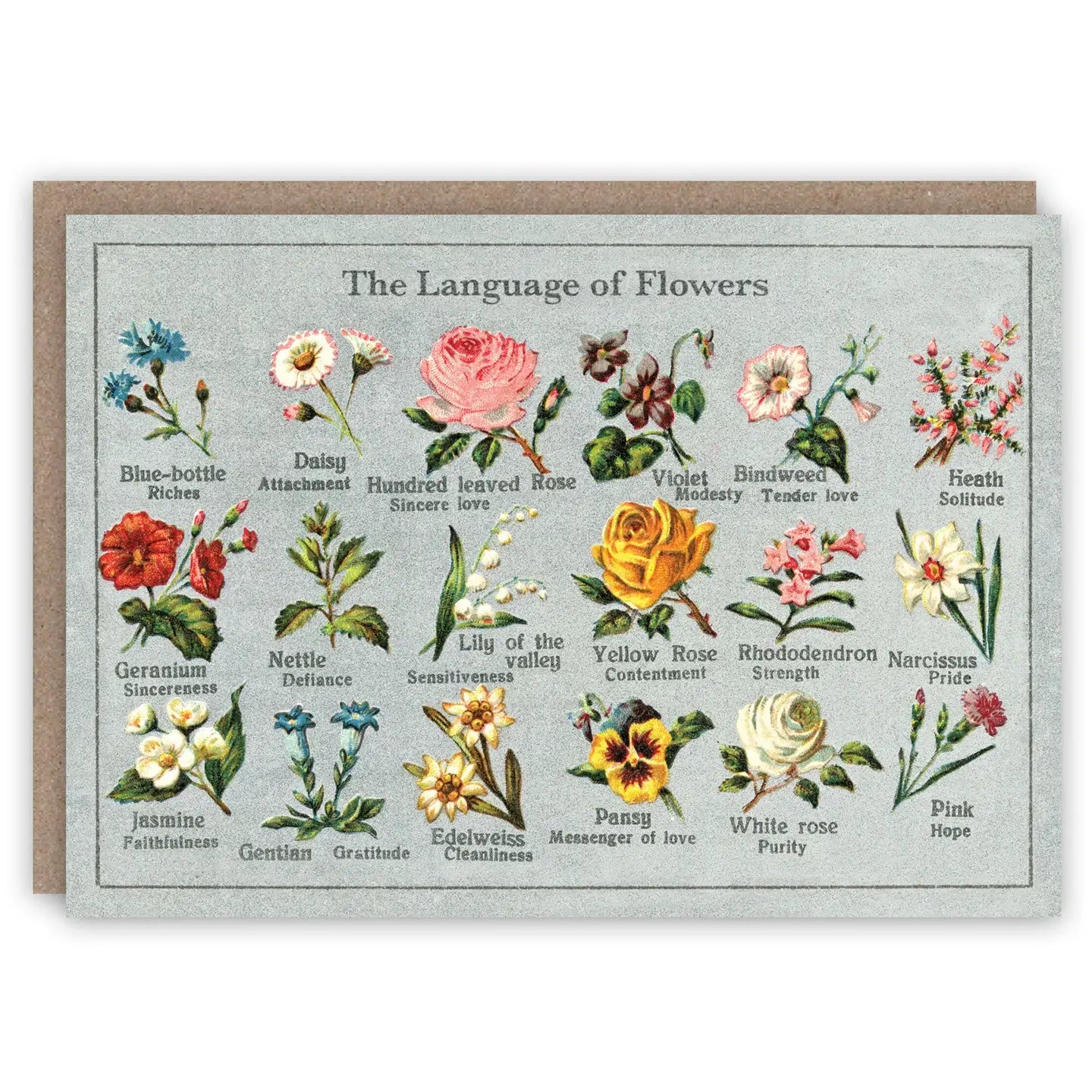 Language of Flowers Greetings Card