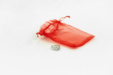 Jupiter's Grace Feather Ring